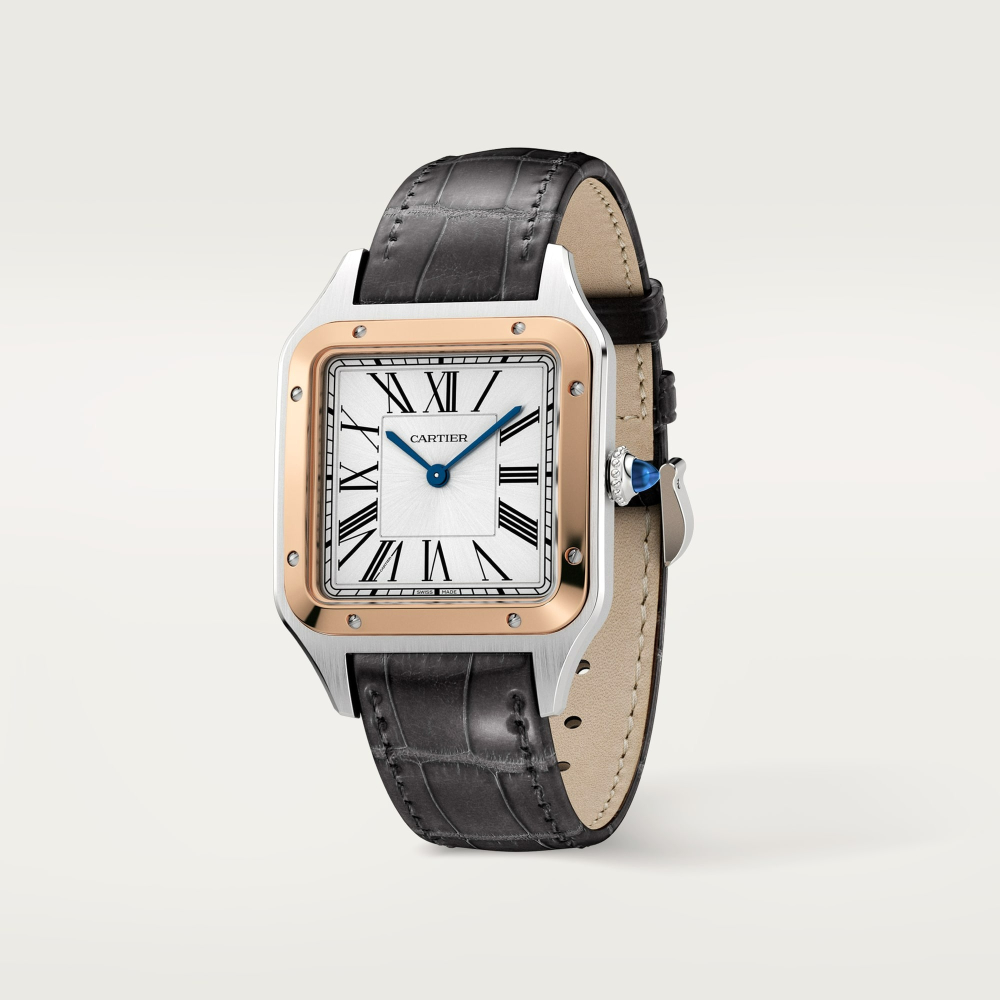 Cartier Santos-Dumont Cartier Santos-Dumont