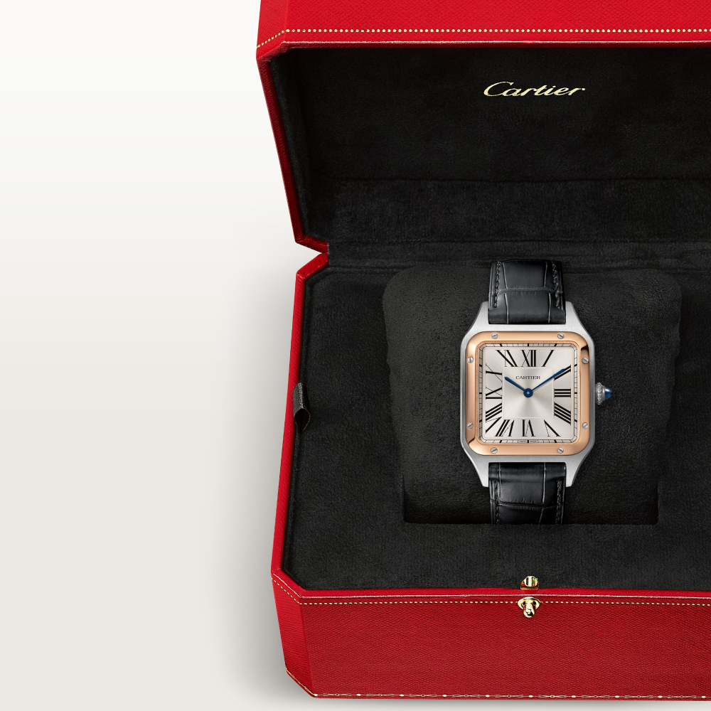 Cartier Santos-Dumont Cartier Santos-Dumont