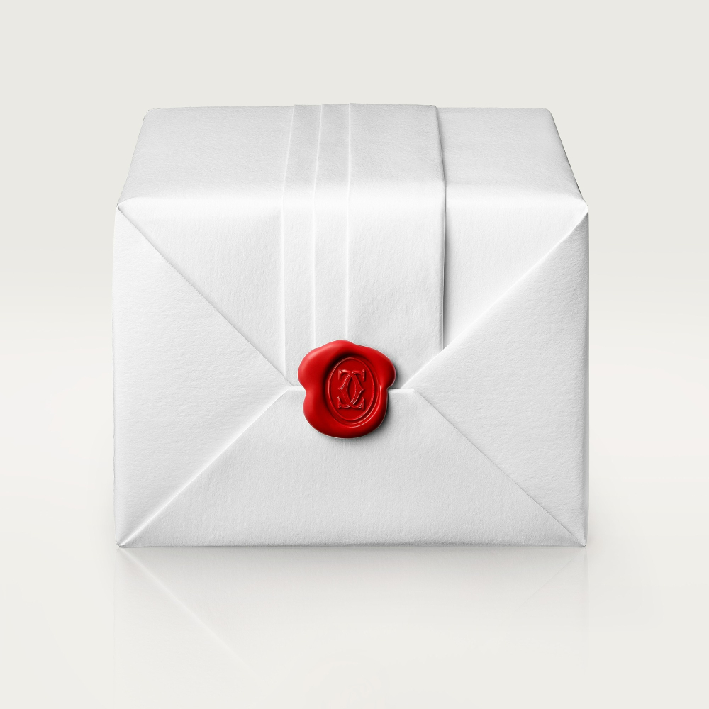 Cartier Santos-Dumont Cartier Santos-Dumont