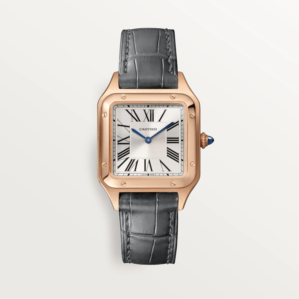 Cartier Santos Dumont WGSA0022 U ur Saat